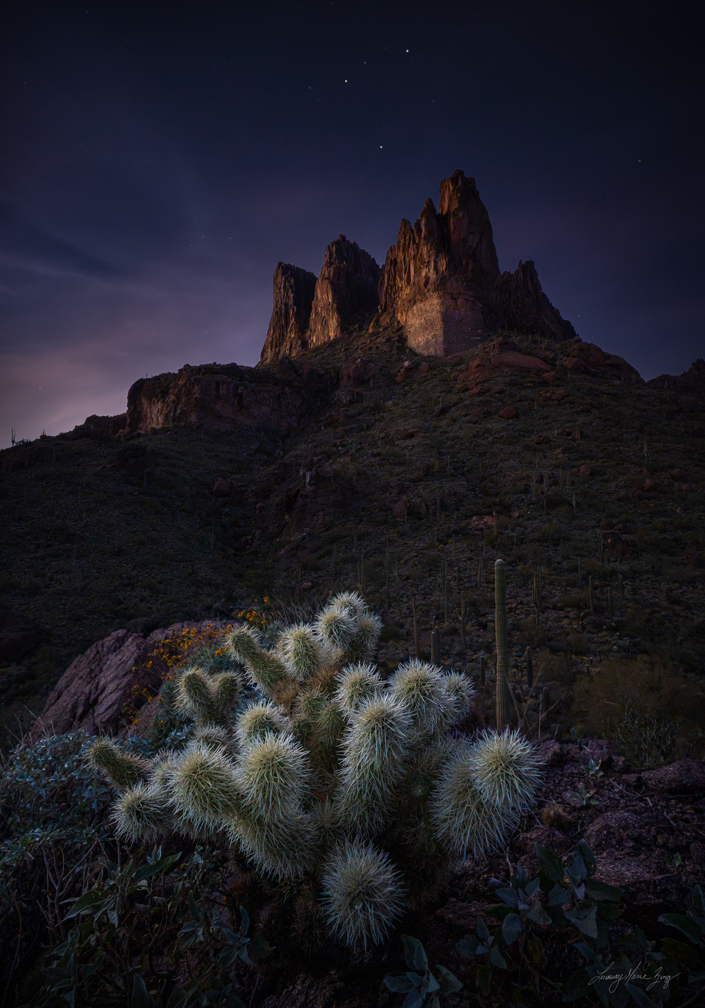A Sonoran Desert hedgehog cactus is lit up by sunset in the foreground of the massive Superstition Mountain range, while the first stars appear across the night sky.